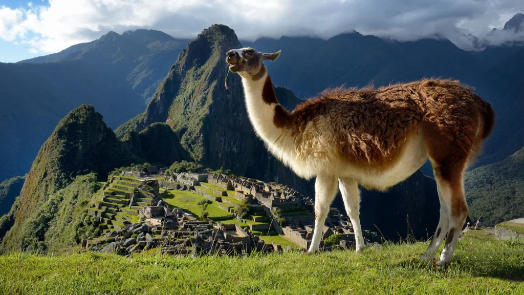 Machupicchu-increíble-9-Días