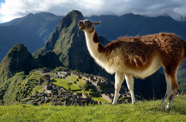 Machupicchu-increíble-9-Días