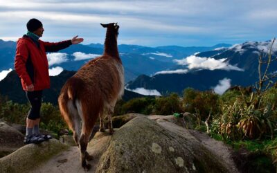 ¿Qué Caminos Incas te llevan a Machu Picchu?