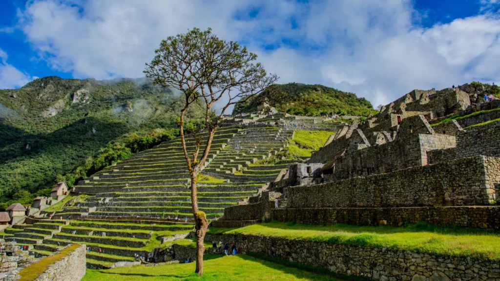 Machupicchu Soleado