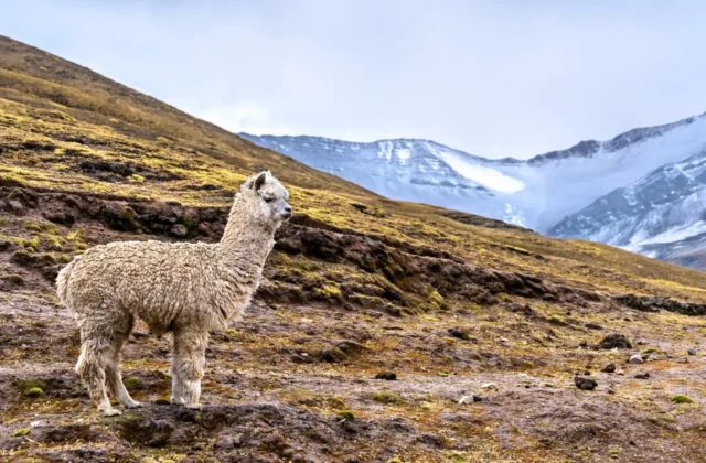 Montaña de Colores